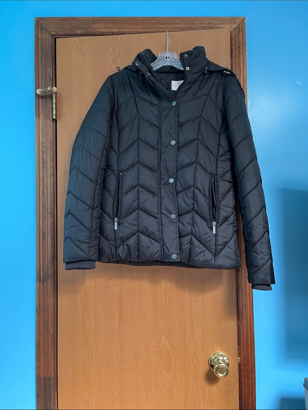 Black Quilted Puffer Jacket with Hood